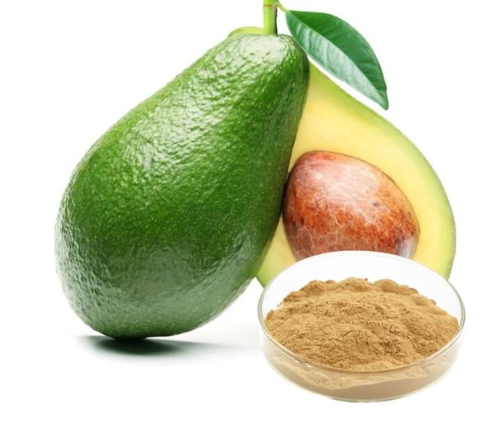 Avocado seed powder