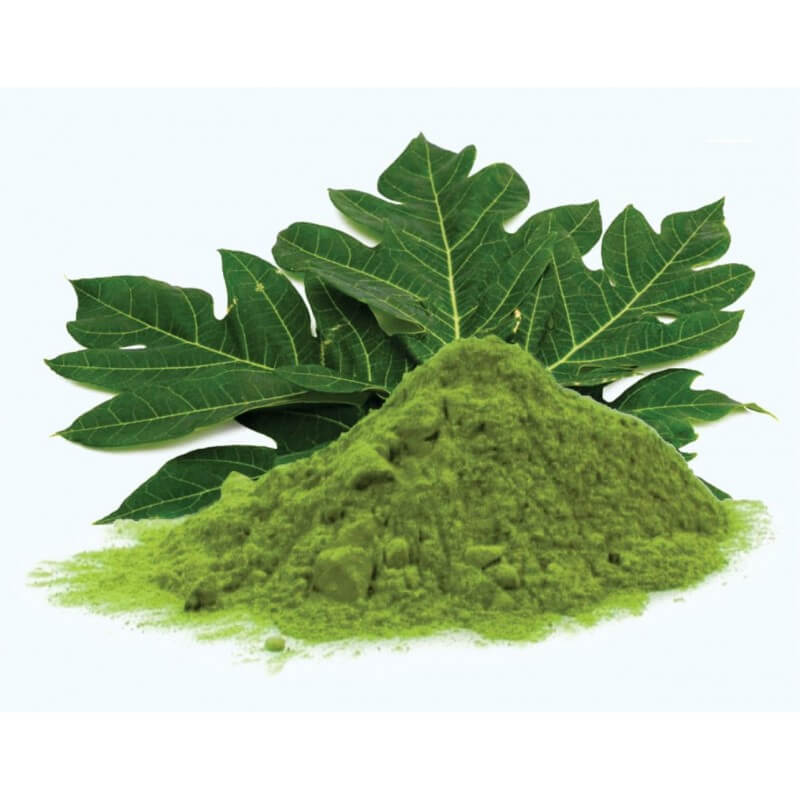 Papaya leaf powder